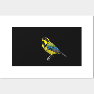 Gold-Ringed Tanager Posters and Art